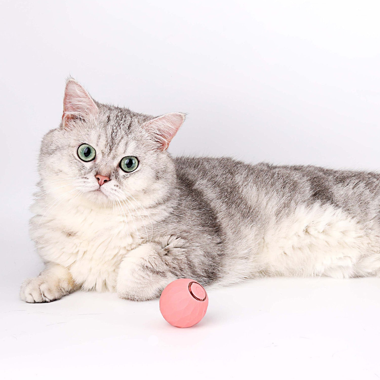 KittyWhirl | Smart Cat Rolling Ball Toy