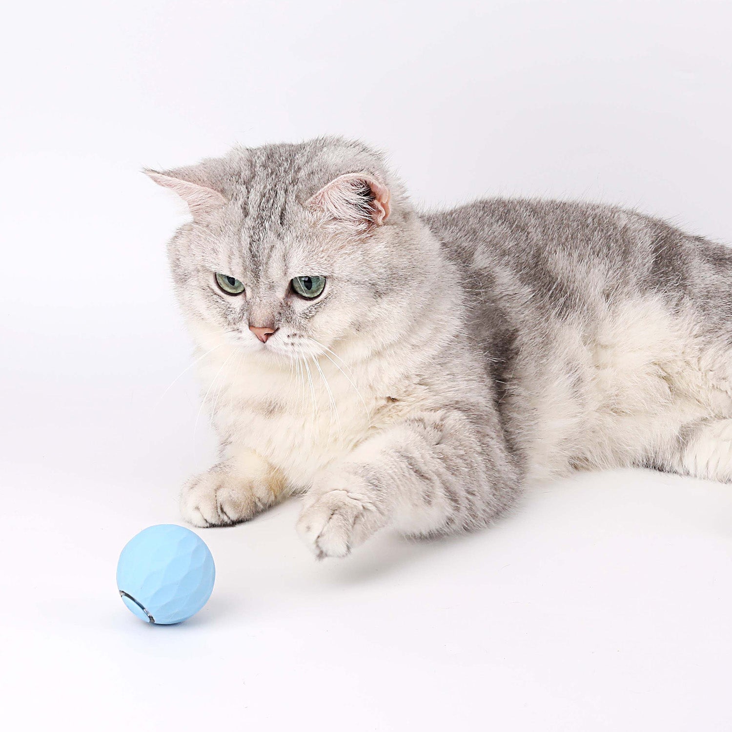 KittyWhirl | Smart Cat Rolling Ball Toy