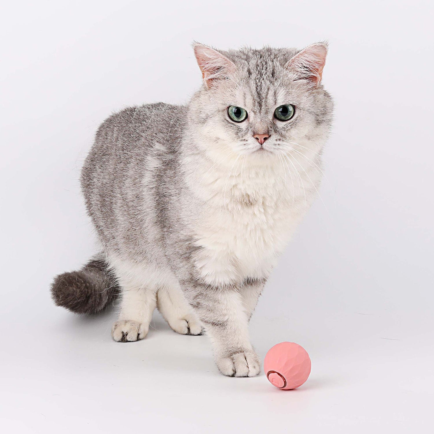 KittyWhirl | Smart Cat Rolling Ball Toy