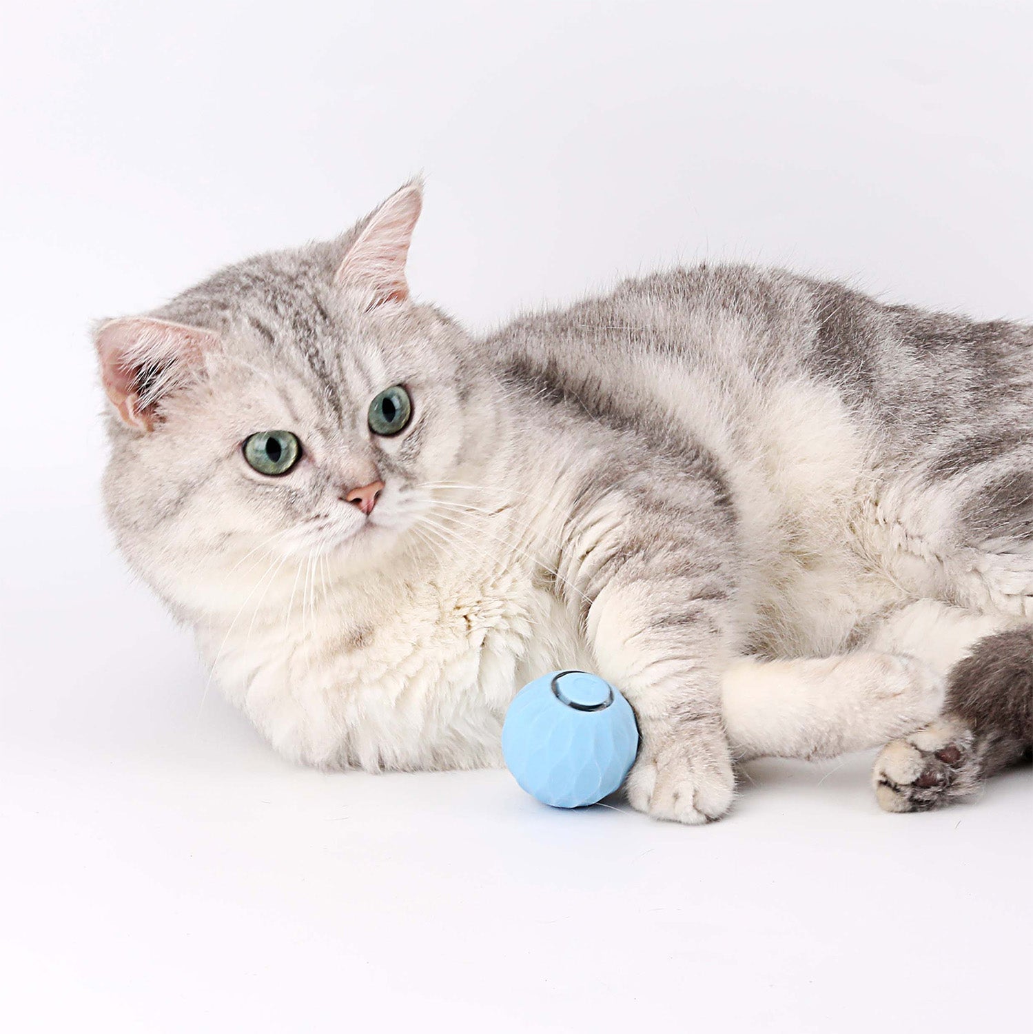 KittyWhirl | Smart Cat Rolling Ball Toy