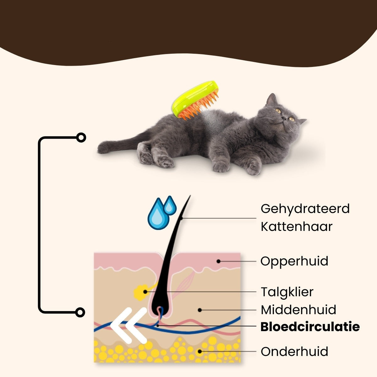 FurrificPaws | Coat-Freshening Steam Brush