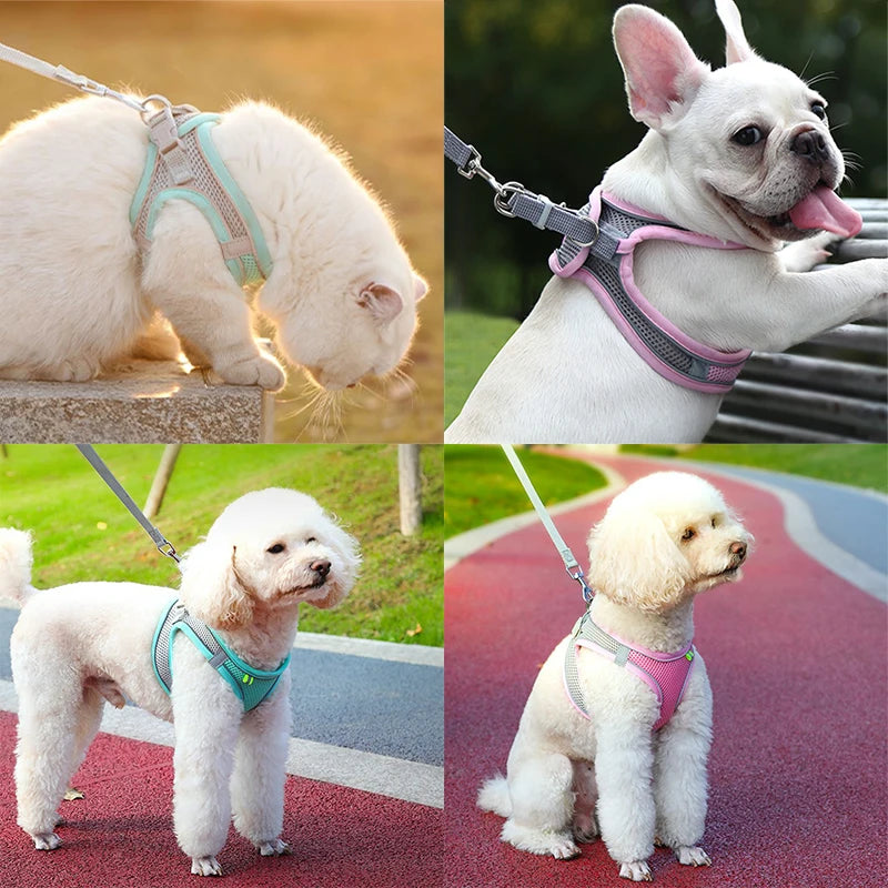 PawsomeFit | Adjustable Cat & Dog Harness Set