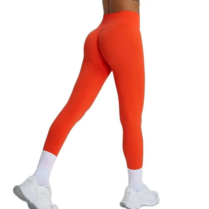 Lua Gym Legging | Women's Seamless Yoga Pants