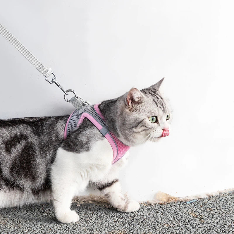 PawsomeFit | Adjustable Cat & Dog Harness Set