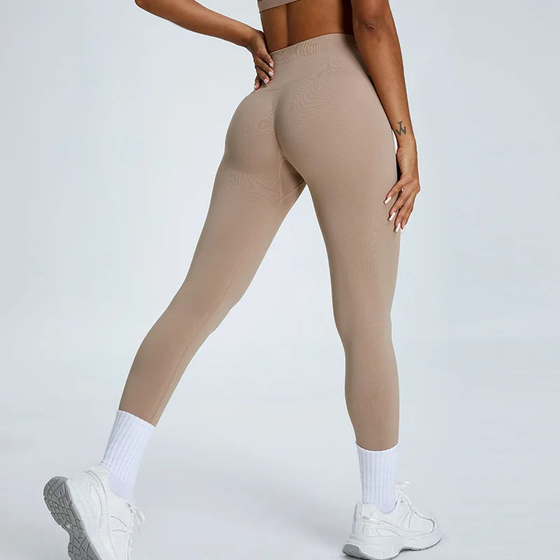 Lua Gym Legging | Women's Seamless Yoga Pants