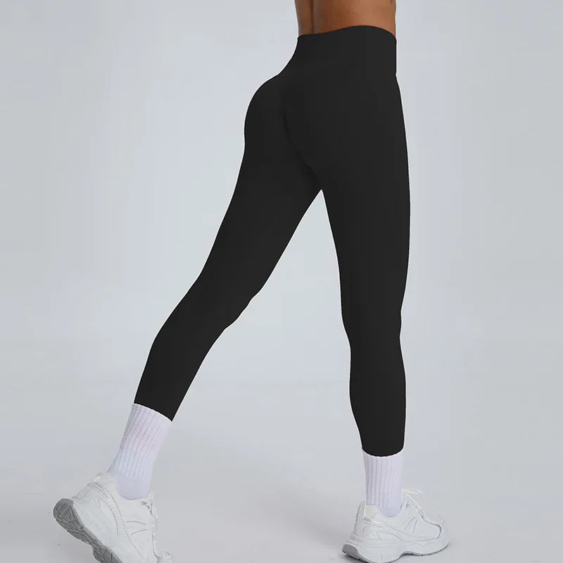 Lua Gym Legging | Women's Seamless Yoga Pants