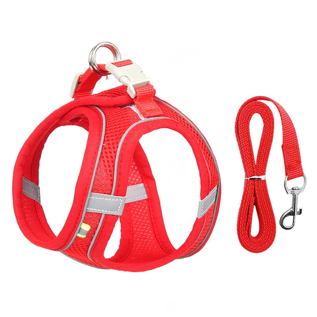 PawsomeFit | Adjustable Cat & Dog Harness Set