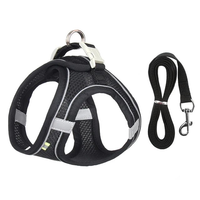 PawsomeFit | Adjustable Cat & Dog Harness Set